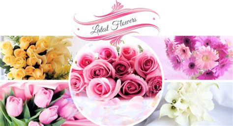 We did not find results for: Welcome you at Flowersnext Blog
