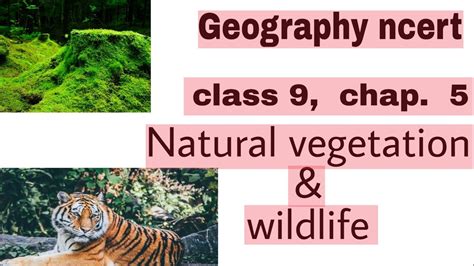 Ncert Class Geography Chapter Natural Vegetation Wildlife Of