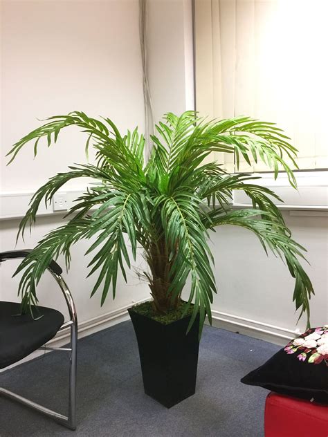 45ft Artificial Phoenix Palm Tree In Tubus Gloss Black Pot Large