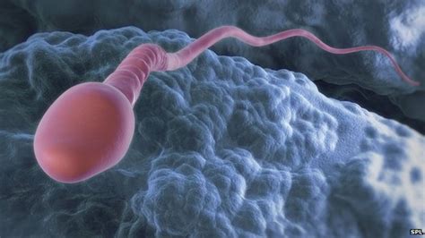 Uk Facing Major Sperm Shortage Bbc News