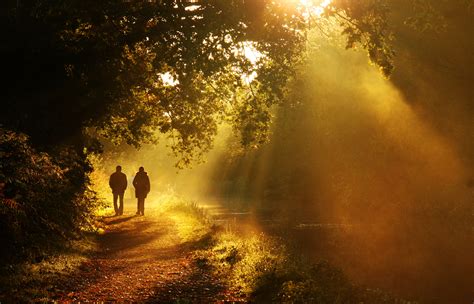 Wallpaper Sunlight Landscape Forest Leaves People Water Nature