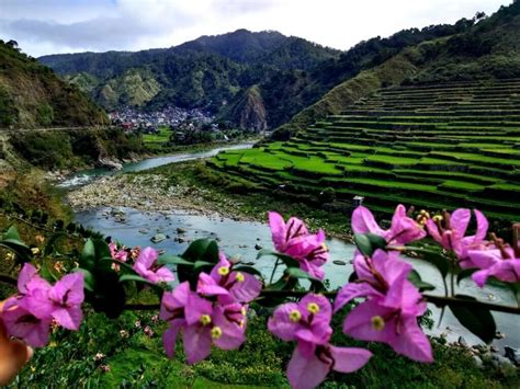 Banaue Rice Terraces When Not To Explore This Highlight Of The