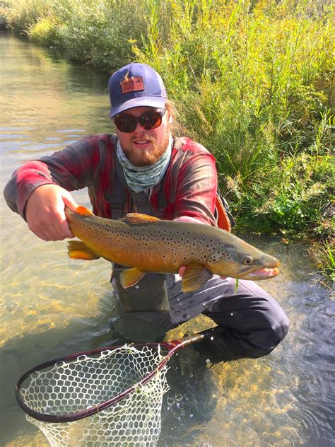 The Owyhee River Fly Fishing Report As Of March 29 2020 Trr Outfitters