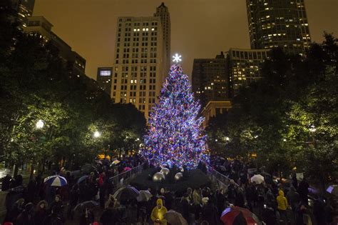 Where Chicago's official Christmas tree comes from  Chicago Tribune