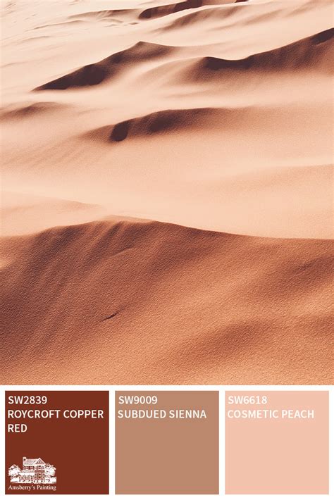 Desert Tour Color Palette Collection