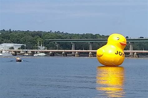Mysterious Giant Rubber Ducky Brings Joy To Belfast Harbor