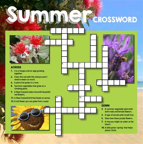 A Garden Flowering Plant Crossword Clue Best Flower Site
