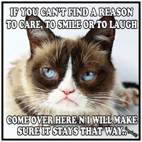 Another Grumpy Cat Meme By The Other Grumpy Kat 2017 Grumpy Cat Makes