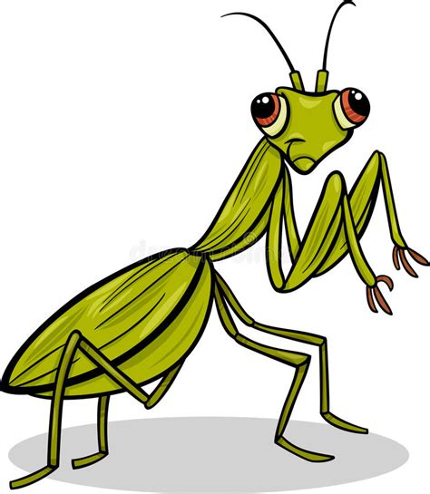 Mantis Insect Cartoon Illustration Stock Vector