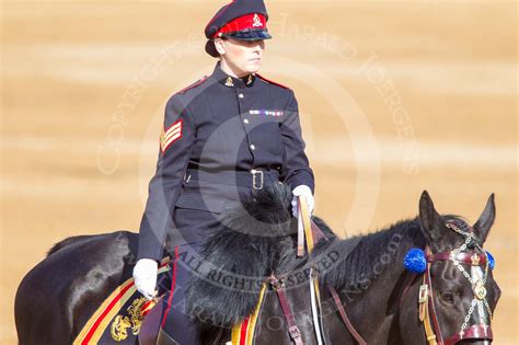 The queen's official birthday is celebrated with pregnant kate middleton, prince harry, prince charles and the duchess of. Queen's Birthday Parade 2013 - Trooping the Colour Photos ...