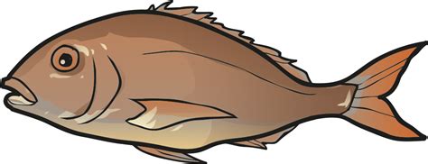 Fish Halibut Clipart Full Size Clipart 3254254 Pinclipart