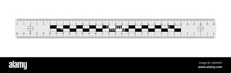Forensic Ruler For Measuring Crime Evidence And Gathering A Clues Stock