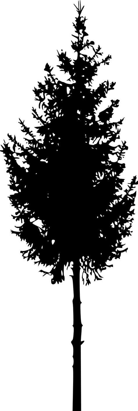 Tree Silhouette Png Free 10 Free Cliparts Download Images On