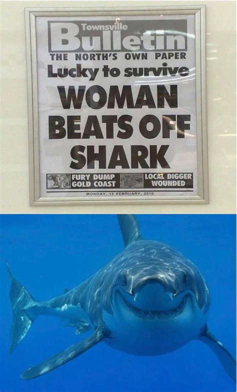 The 21 Funniest Shark Memes Ever Gallery