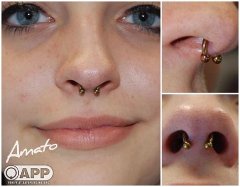 Amato Fine Jewelry And Piercing On Instagram Fresh Septum By Joe With