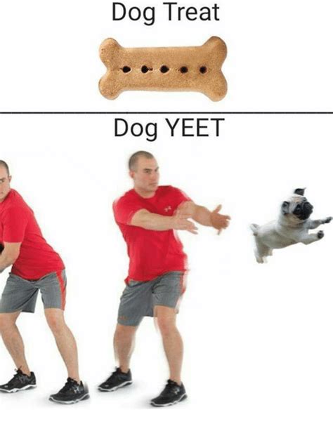 (informal, slang, humorous) used to express excitement or approval. Dog Treat Dog YEET | Dog Meme on ME.ME