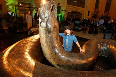 Worlds Largest Snake Could Swallow Crocodiles Whole The Story Of Size