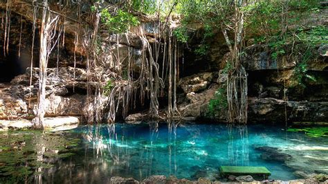 Los Cenotes De Yucatán Yucatán Dive Center