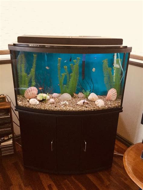 45 Gallon Bow Front Aquarium And Stand Central Nanaimo Nanaimo