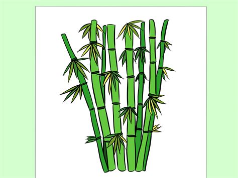 Https://tommynaija.com/draw/how To Draw A Bamboo Plant
