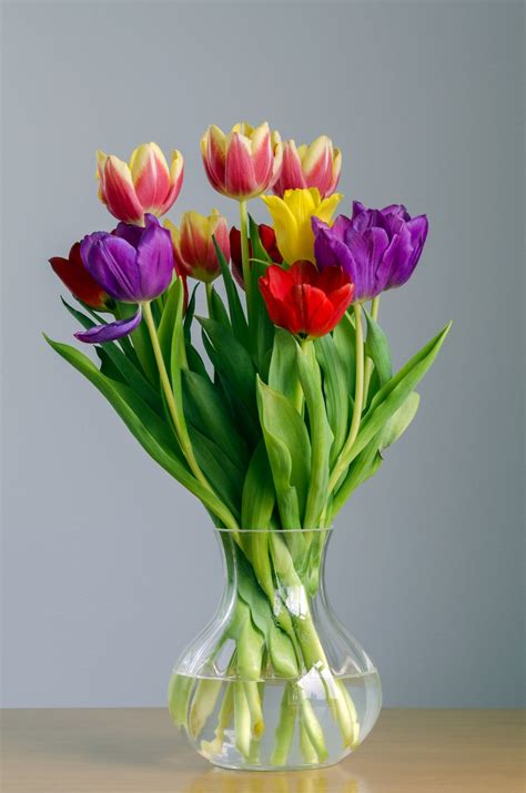 Tulips Colorful Flowers Arrangements Colorful Tulips Tulips In Vase