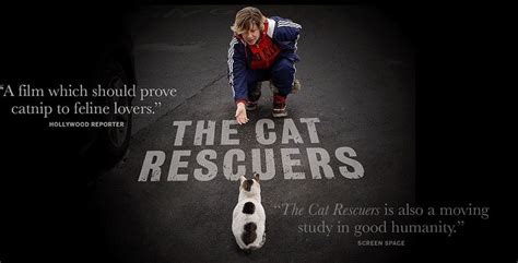 ‘the Cat Rescuers Documentary Highlights Brooklyns Feral Cats Feral