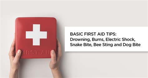 First Aid Tips How To Treat Burns Electric Shock Bites And Stings
