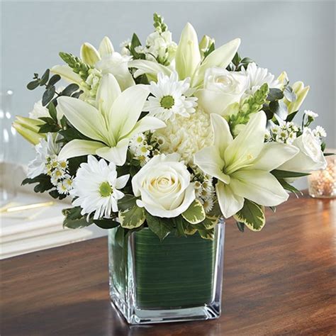 Search and select your organization name & hit go, or get in touch with our customer support team. 1-800-FLOWERS® HEALING TEARS™ ALL WHITE | Salinas, CA