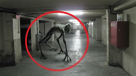 5 Scariest Creatures Caught On Camera Words Best Entertainments Site