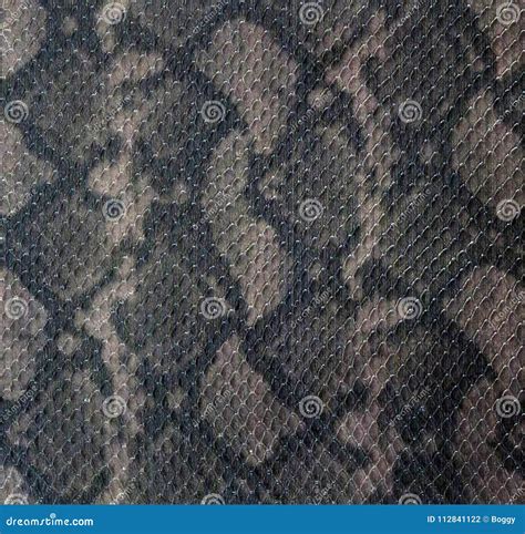Snake Skine Leather Stock Photo Image Of Textured Backdrop 112841122