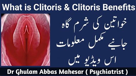 What Is Clitoris In Urdu Hindi Clitoris Explained In Urdu Youtube
