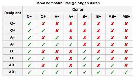 Apa Itu Golongan Darah Pasien Sehat