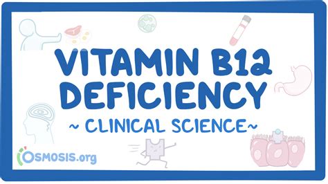 Vitamin B Deficiency Clinical Sciences Osmosis Video Library