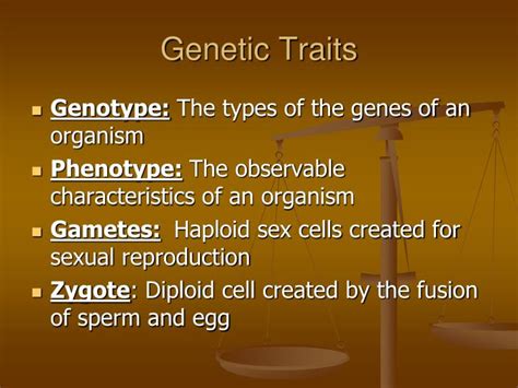 Ppt Genetic Traits Powerpoint Presentation Free Download Id2212642