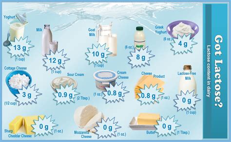 Lactose Content Of Foods List