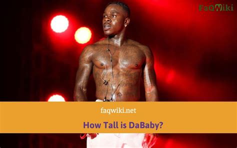 How Tall Is Dababy Faqwiki