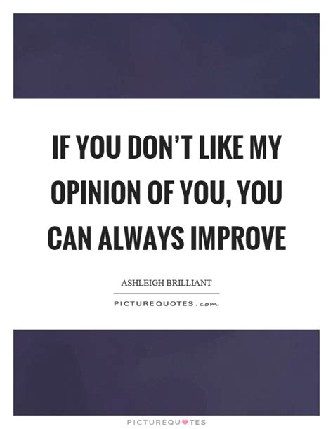 If You Dont Like My Opinion Of You You Can Always Improve Picture