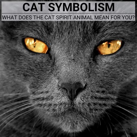 Blog About Animal Symbolism