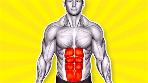 Get Sculpted Abs The Best 9 Minute Core Workout Youtube