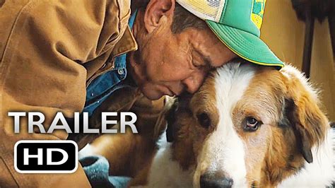 A dog finds the meaning of his own existence through the lives of the humans he meets. A DOG'S JOURNEY Official Trailer (2019) A Dog's Purpose 2 ...
