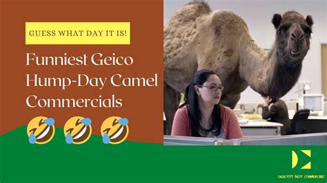 Iconic And Extremely Funny Geico Hump Day Camel Commercials Compiled