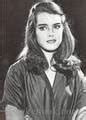 See more ideas about brooke shields, brooke, pretty baby. Brooke Shields images Bathing Brooke wallpaper and ...