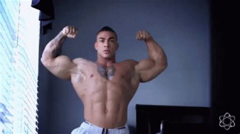 Huge Muscles GIF Huge Muscles Flex Discover Share GIFs Muscle Flex Discover