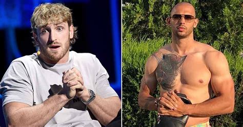 youtube star logan paul performs u turn to call out andrew tate for mma fight mirror online