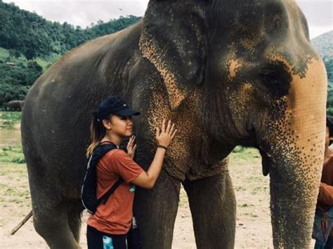 Volunteer Work With Elephants In Thailands Elephant Sanctuary