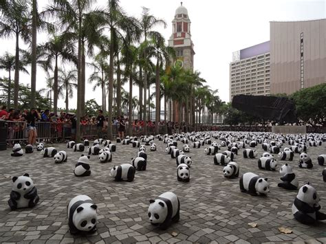 Webs Of Significance Hong Kong Panda Monium