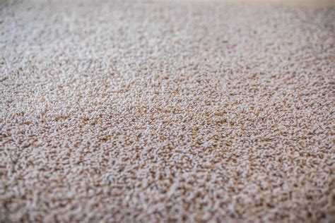Polyester carpet should have a high twist level to the tufts. Nylon Vs. Polyester Carpet - Which is the Best Choice?