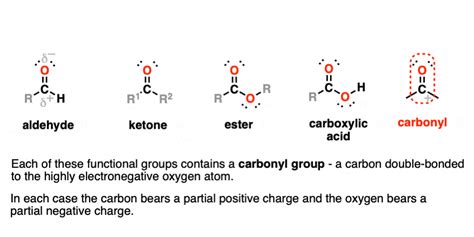 Functional Groups In Organic Chemistry