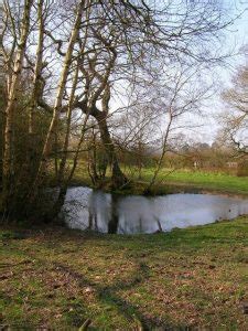 In most cases, the contractors will not be able to make exact quotes or estimates simply because they do not know yet how long they need to dig or if. How Much Does it Cost to Dig a Pond In 2019? - Cost Aide