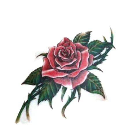 Sleeve Tattoo Rose Tattoo Drawing Car Tattoo Sticker Png Download